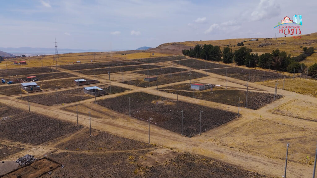 BOSQUE (10) - marisol zevallos