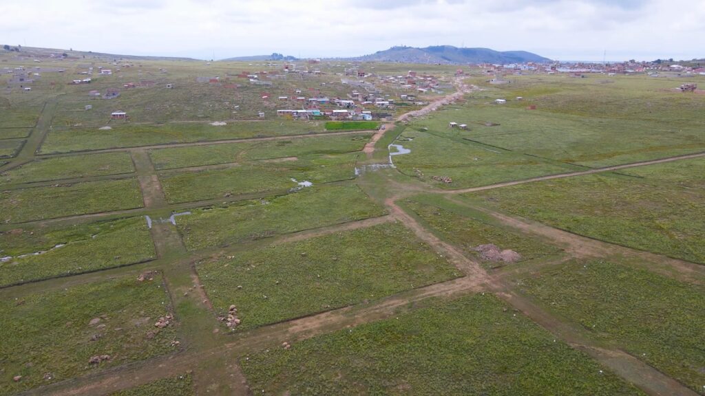 SAMANTHA (2) - marisol zevallos