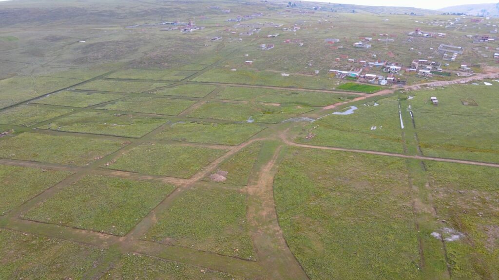 SAMANTHA (3) - marisol zevallos