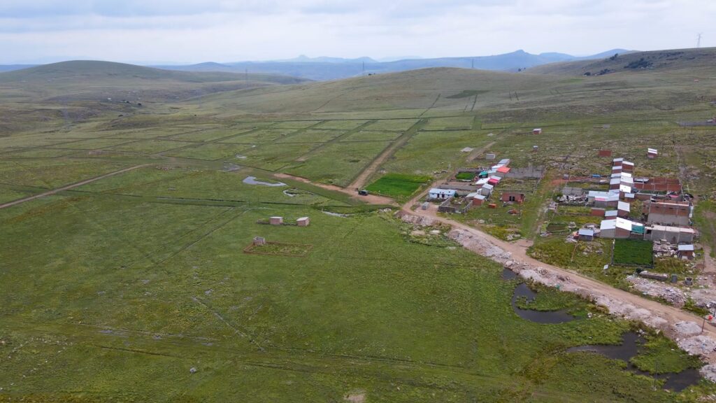 SAMANTHA (4) - marisol zevallos