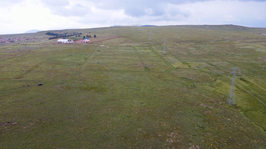 SAMANTHA (5) - marisol zevallos